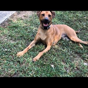 Meet your Posher, Taylor